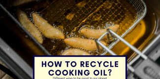 Best-ways-to-recycle-used-cooking-oil-without-pollution