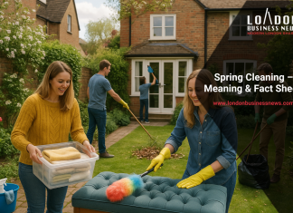 Spring-Cleaning – Meaning-&-Fact-Sheet